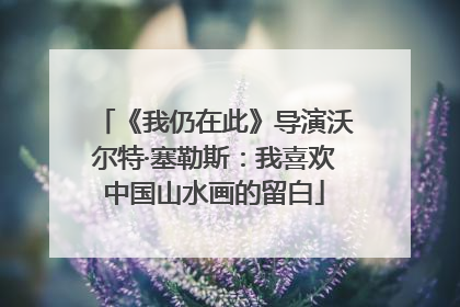 《我仍在此》导演沃尔特·塞勒斯：我喜欢中国山水画的留白
