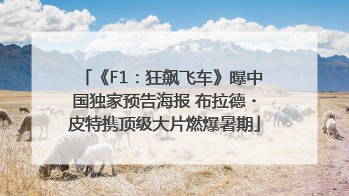 《F1：狂飙飞车》曝中国独家预告海报 布拉德・皮特携顶级大片燃爆暑期