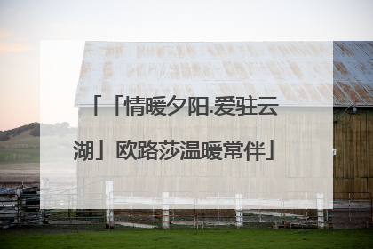 「情暖夕阳.爱驻云湖」欧路莎温暖常伴