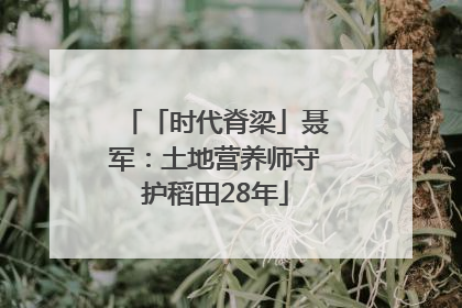 「时代脊梁」聂军：土地营养师守护稻田28年