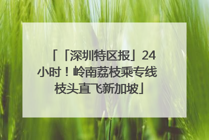 「深圳特区报」24小时！岭南荔枝乘专线 枝头直飞新加坡