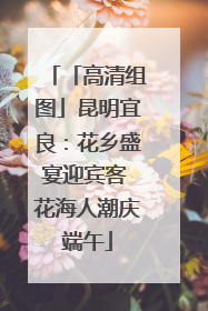 「高清组图」昆明宜良：花乡盛宴迎宾客 花海人潮庆端午