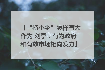 “特小乡”怎样有大作为 刘亭：有为政府和有效市场相向发力