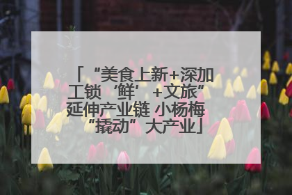 “美食上新+深加工锁‘鲜’+文旅”延伸产业链 小杨梅“撬动”大产业