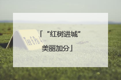 “红树进城” 美丽加分