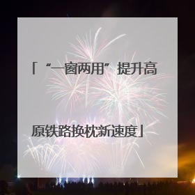 “一窗两用”提升高原铁路换枕新速度