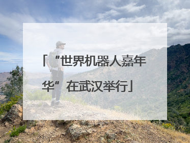 “世界机器人嘉年华”在武汉举行