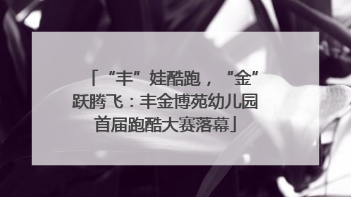 “丰”娃酷跑，“金”跃腾飞：丰金博苑幼儿园首届跑酷大赛落幕