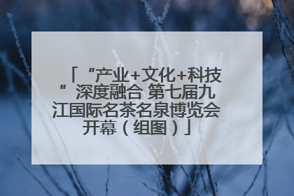 “产业+文化+科技”深度融合 第七届九江国际名茶名泉博览会开幕（组图）