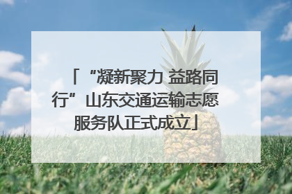 “凝新聚力 益路同行”山东交通运输志愿服务队正式成立