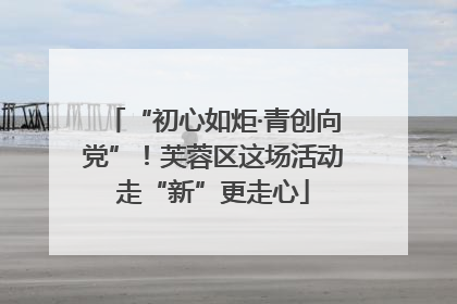 “初心如炬·青创向党”！芙蓉区这场活动走“新”更走心