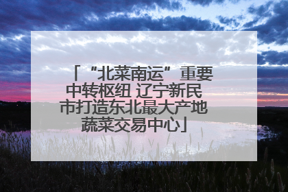 “北菜南运”重要中转枢纽 辽宁新民市打造东北最大产地蔬菜交易中心