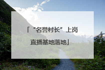 “名誉村长”上岗 直播基地落地