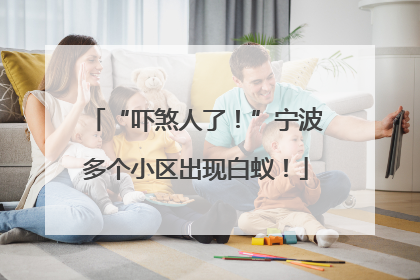 “吓煞人了！”宁波多个小区出现白蚁！