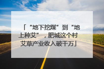 “地下挖煤”到“地上种艾”，肥城这个村艾草产业收入破千万