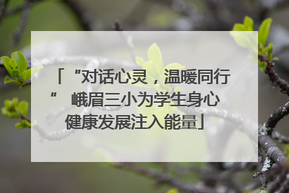 “对话心灵，温暖同行” 峨眉三小为学生身心健康发展注入能量