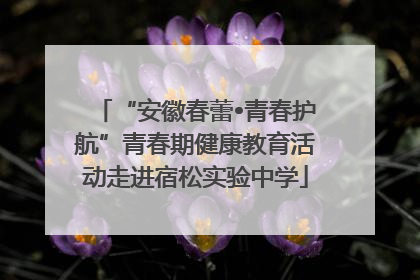 “安徽春蕾•青春护航”青春期健康教育活动走进宿松实验中学