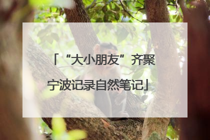 “大小朋友”齐聚宁波记录自然笔记