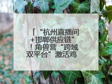 “杭州直播间+邯郸供应链”！角兽营“跨域双平台”激活鸡泽产业新动能