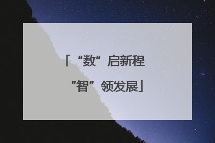 “数”启新程 “智”领发展