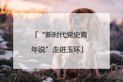 “新时代党史青年说”走进玉环