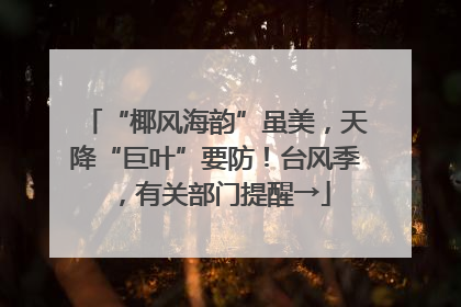 “椰风海韵”虽美，天降“巨叶”要防！台风季，有关部门提醒→