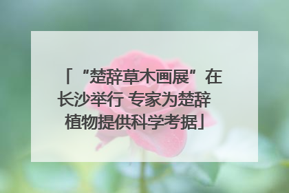 “楚辞草木画展”在长沙举行 专家为楚辞植物提供科学考据