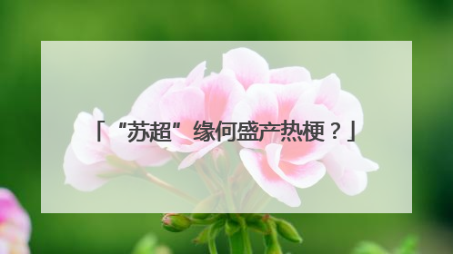 “苏超”缘何盛产热梗？