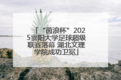 “茵浪杯”2025襄阳大学足球超级联赛落幕 湖北文理学院成功卫冕
