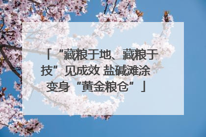 “藏粮于地、藏粮于技”见成效 盐碱滩涂变身“黄金粮仓”