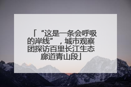“这是一条会呼吸的岸线”，城市观察团探访百里长江生态廊道青山段