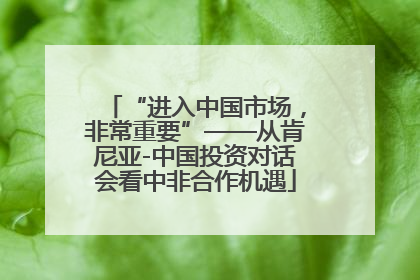 “进入中国市场，非常重要”——从肯尼亚-中国投资对话会看中非合作机遇