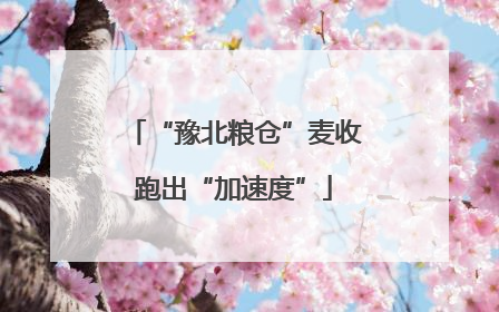 “豫北粮仓”麦收跑出“加速度”