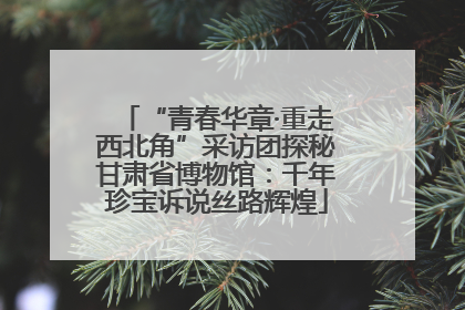 “青春华章·重走西北角”采访团探秘甘肃省博物馆：千年珍宝诉说丝路辉煌