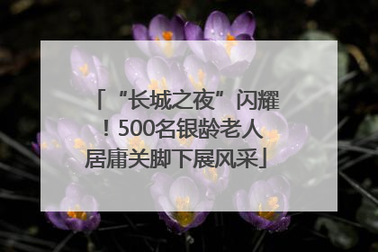 “长城之夜”闪耀！500名银龄老人居庸关脚下展风采