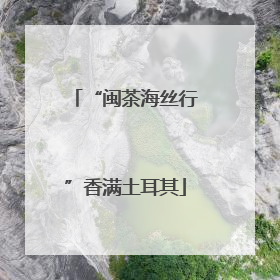 “闽茶海丝行”香满土耳其