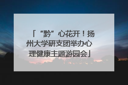 “黔”心花开！扬州大学研支团举办心理健康主题游园会