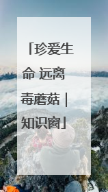 珍爱生命 远离毒蘑菇｜知识窗