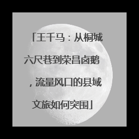 王千马：从桐城六尺巷到荣昌卤鹅，流量风口的县域文旅如何突围