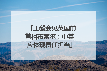 王毅会见英国前首相布莱尔：中英应体现责任担当