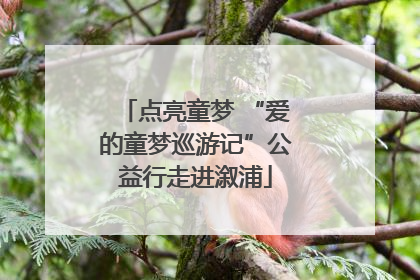 点亮童梦 “爱的童梦巡游记”公益行走进溆浦