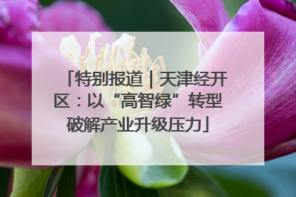特别报道｜天津经开区：以“高智绿”转型破解产业升级压力
