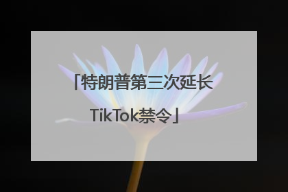特朗普第三次延长TikTok禁令