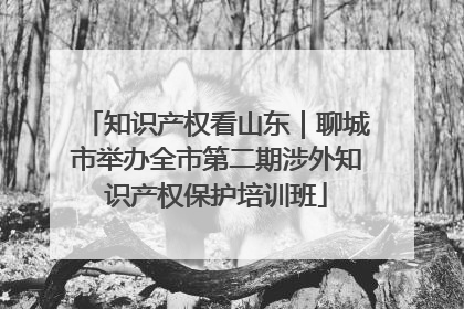 知识产权看山东｜聊城市举办全市第二期涉外知识产权保护培训班