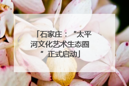 石家庄：“太平河文化艺术生态圈”正式启动