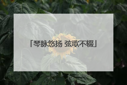 琴脉悠扬 弦歌不辍