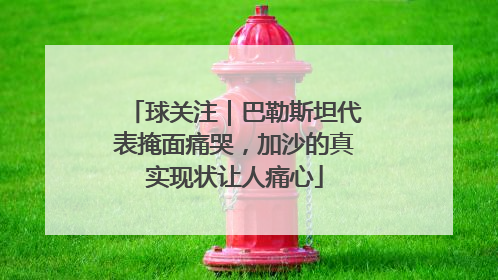 球关注｜巴勒斯坦代表掩面痛哭，加沙的真实现状让人痛心