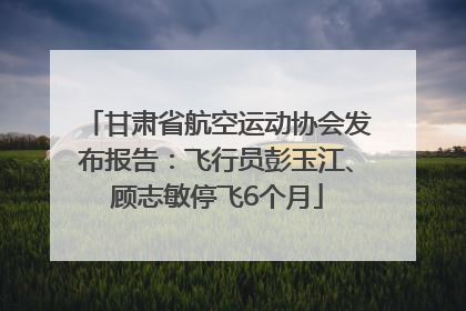 甘肃省航空运动协会发布报告：飞行员彭玉江、顾志敏停飞6个月