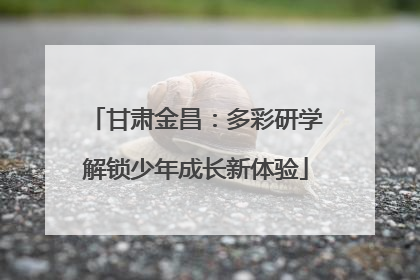 甘肃金昌：多彩研学解锁少年成长新体验