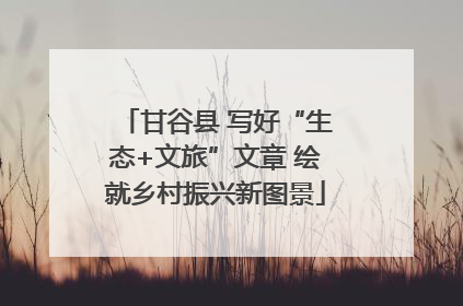 甘谷县 写好“生态+文旅”文章 绘就乡村振兴新图景